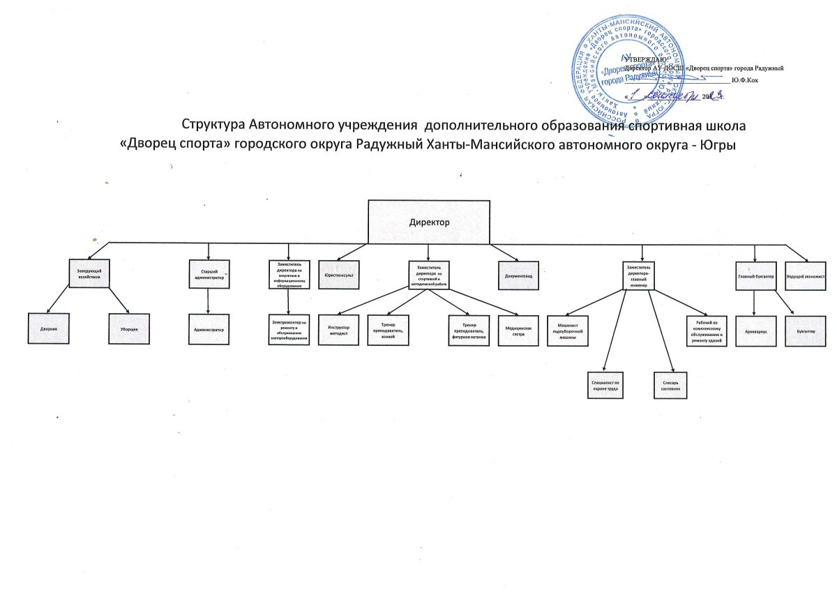 Структура организации с 1 сентября 2023 — АУ ДОСШ 