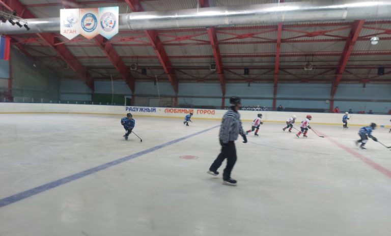 В АУ ДОСШ «Дворец спорта» г. Радужный прошли открытые соревнования на Кубок «Дворца спорта» по хоккею